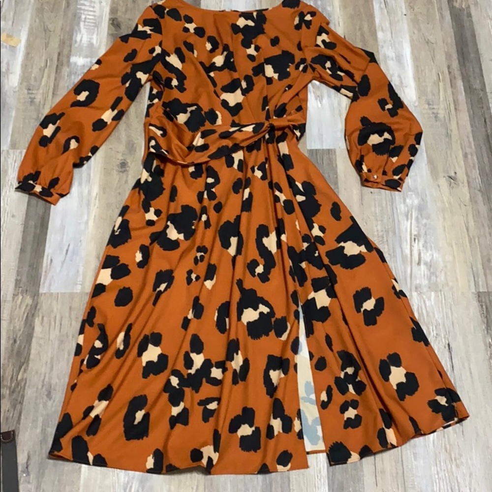 Animal Print Midi Long Sleeve Midi Dress